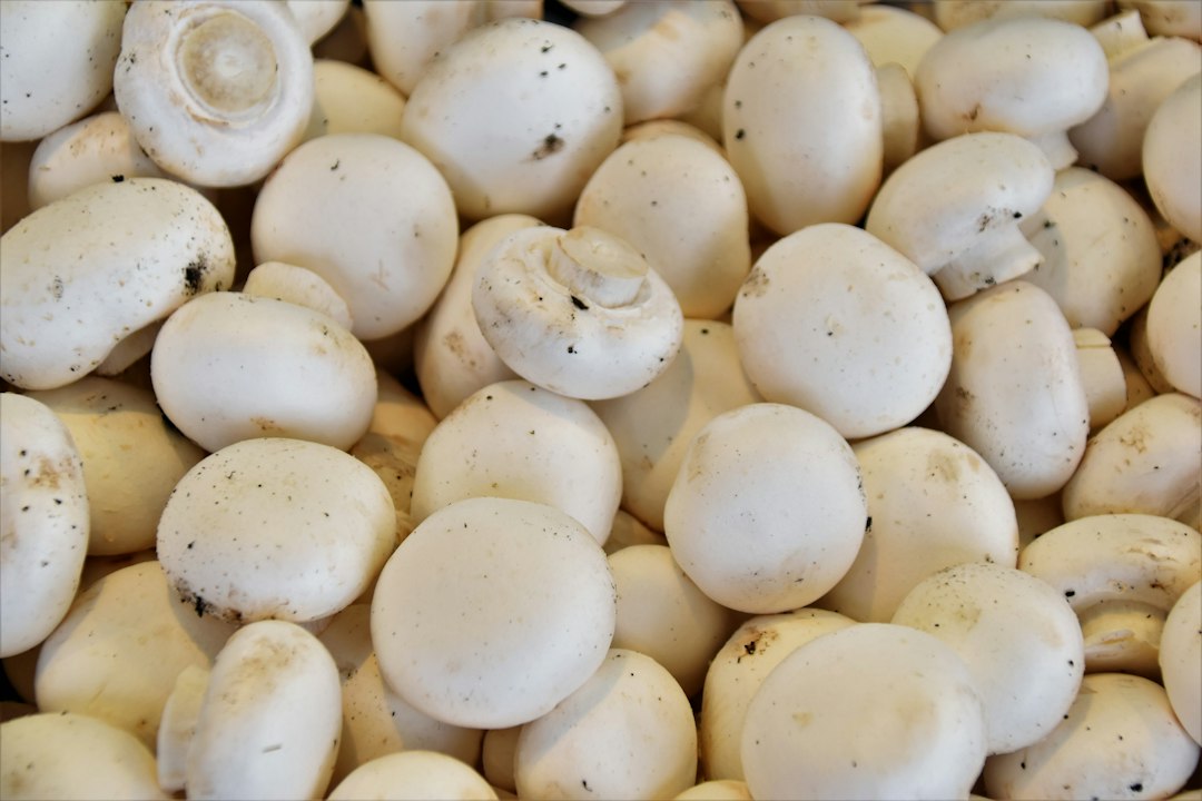 Fresh white mushrooms