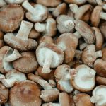 Fresh shiitake mushrooms at a farmers market