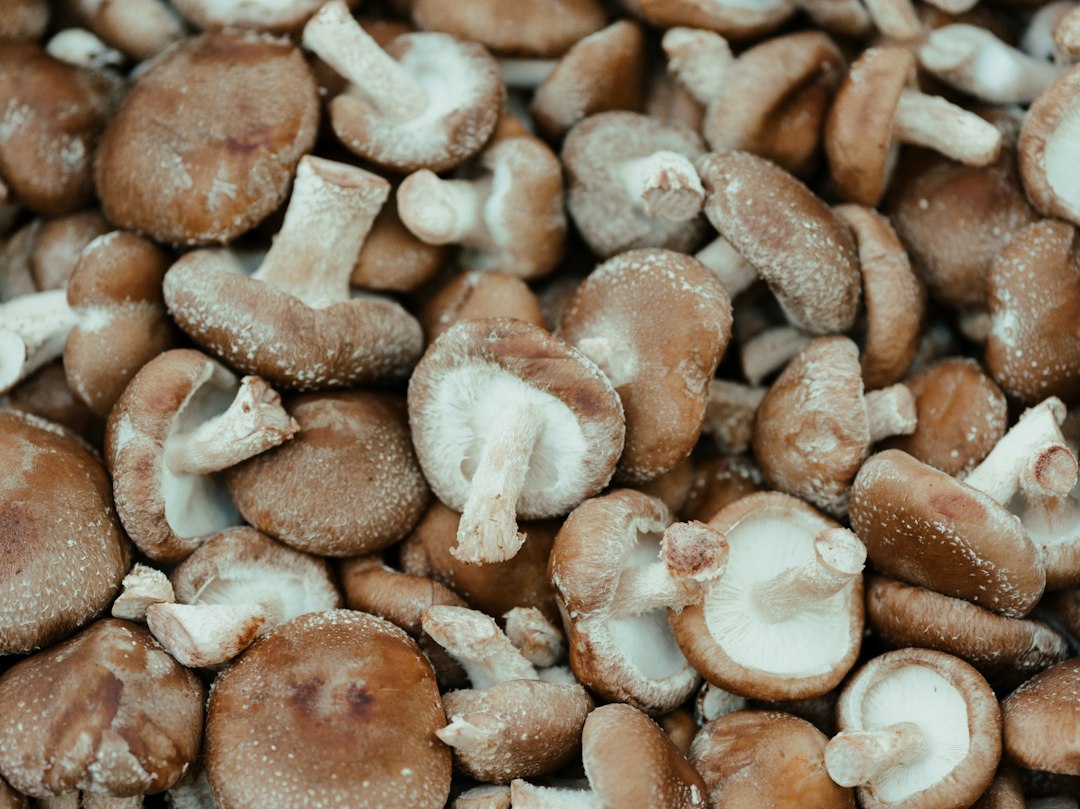 Fresh shiitake mushrooms at a farmers market
