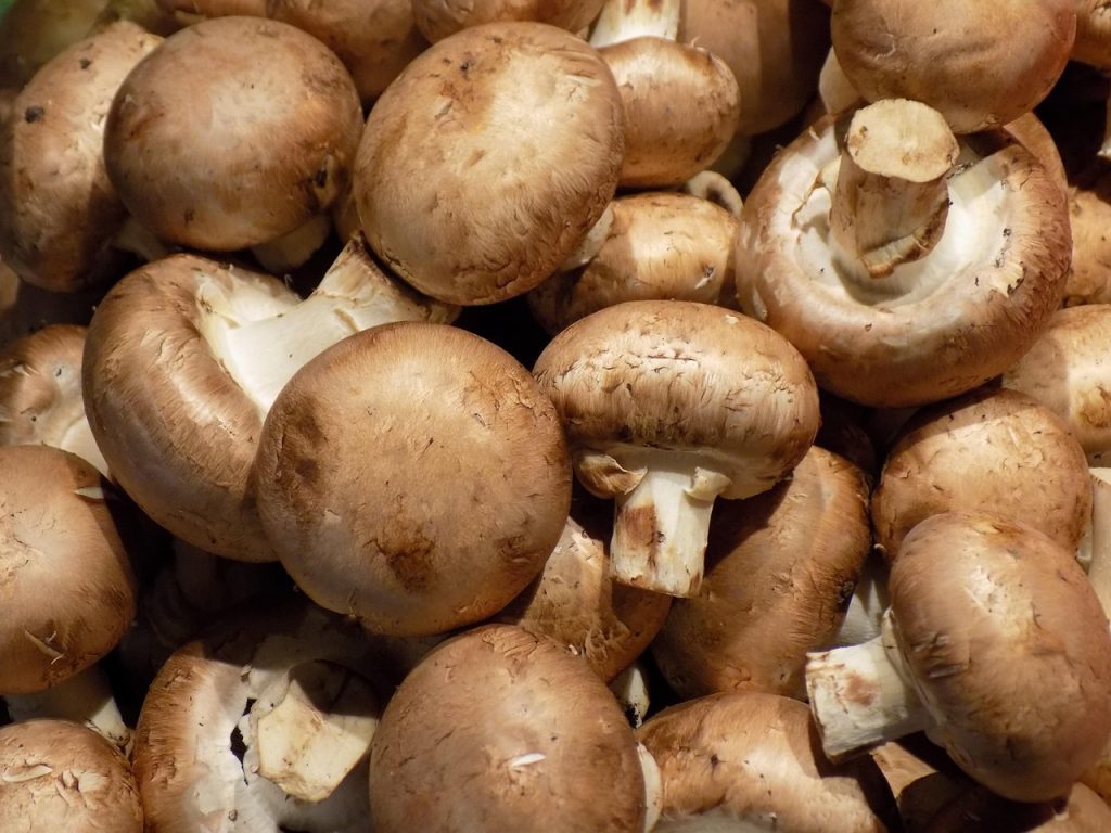 A close pile of fresh brown cremini mushrooms