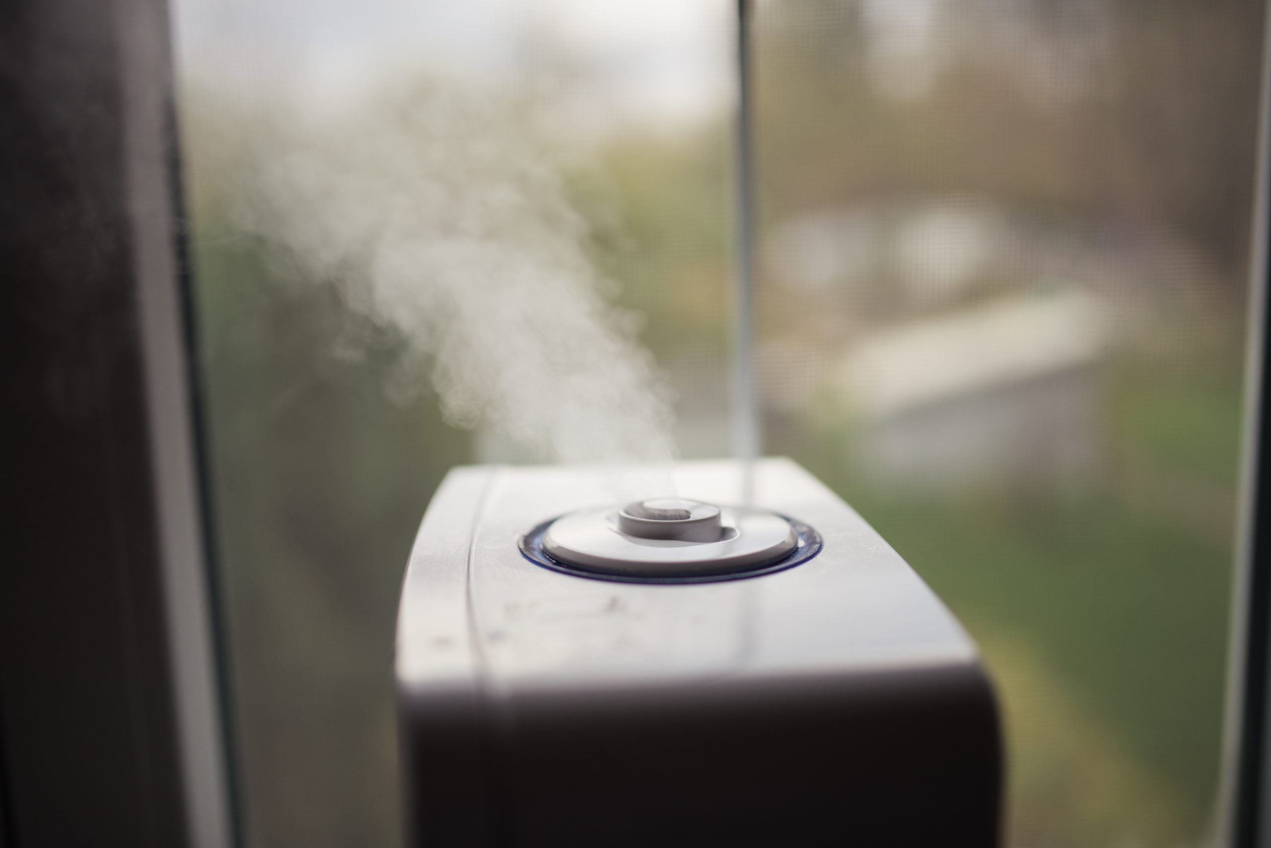 Water vapor released by a humidifier