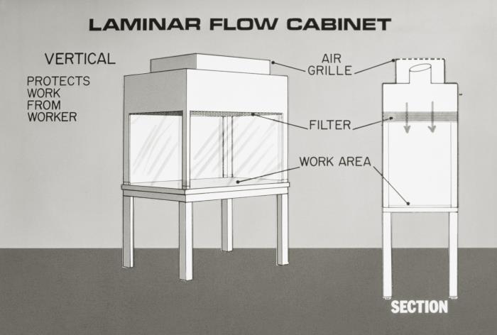 Illustration of a vertical laminar flow cabinet with a cross-section showing room air drawn in, passed through a HEPA filter and directed down over the work surface