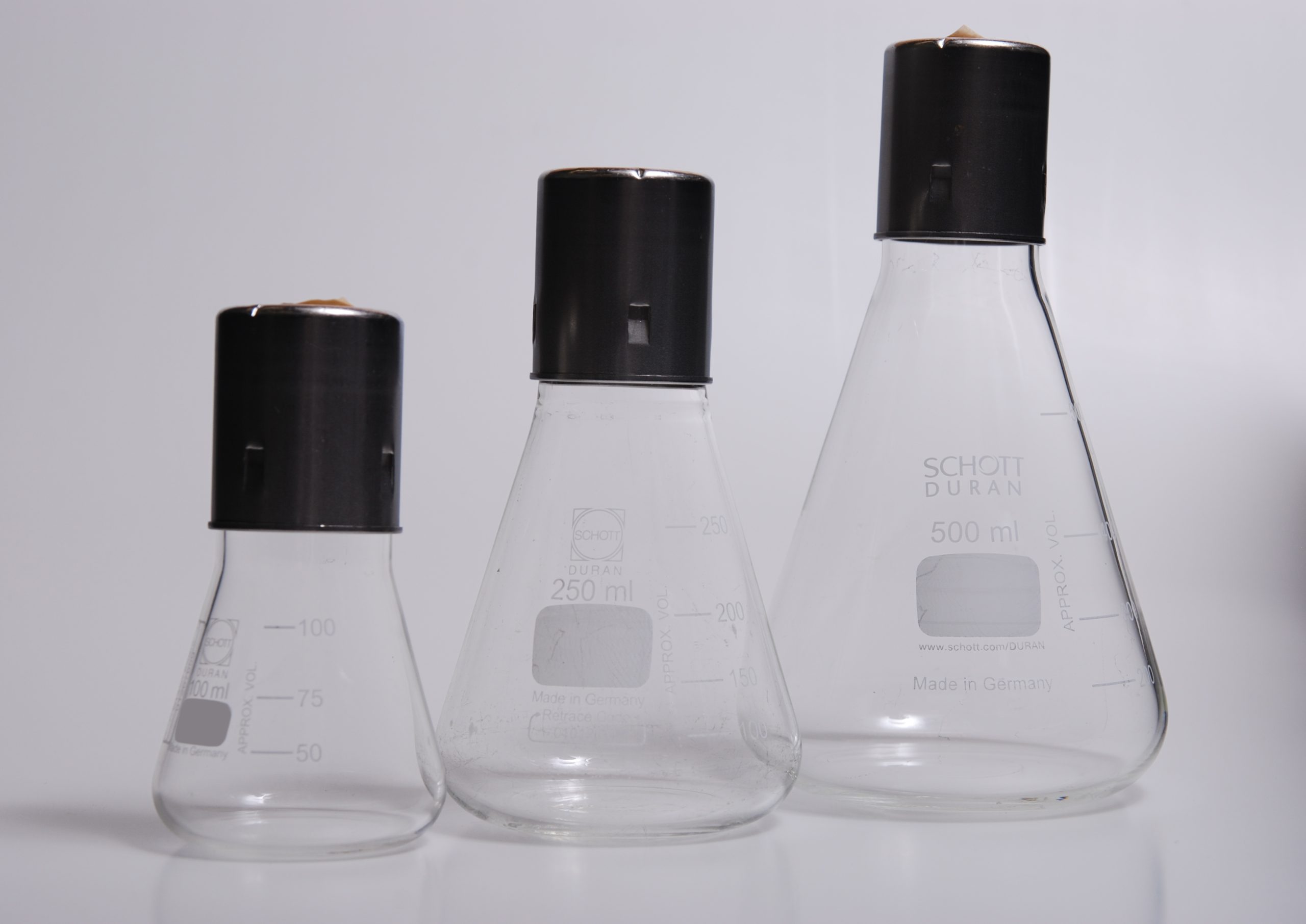 A set of laboratory flasks used for microbial cultures