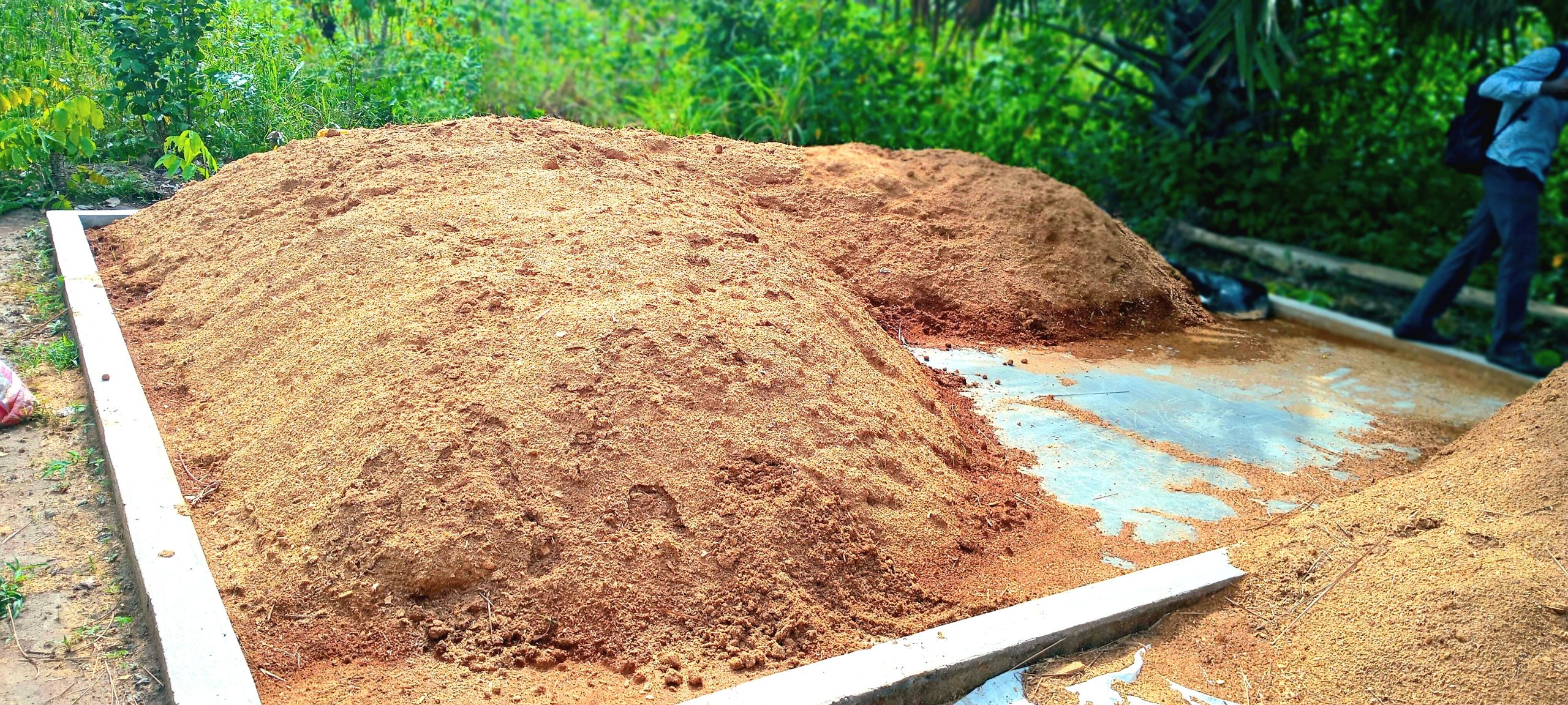 Sawdust being prepared for mushroom cultivation