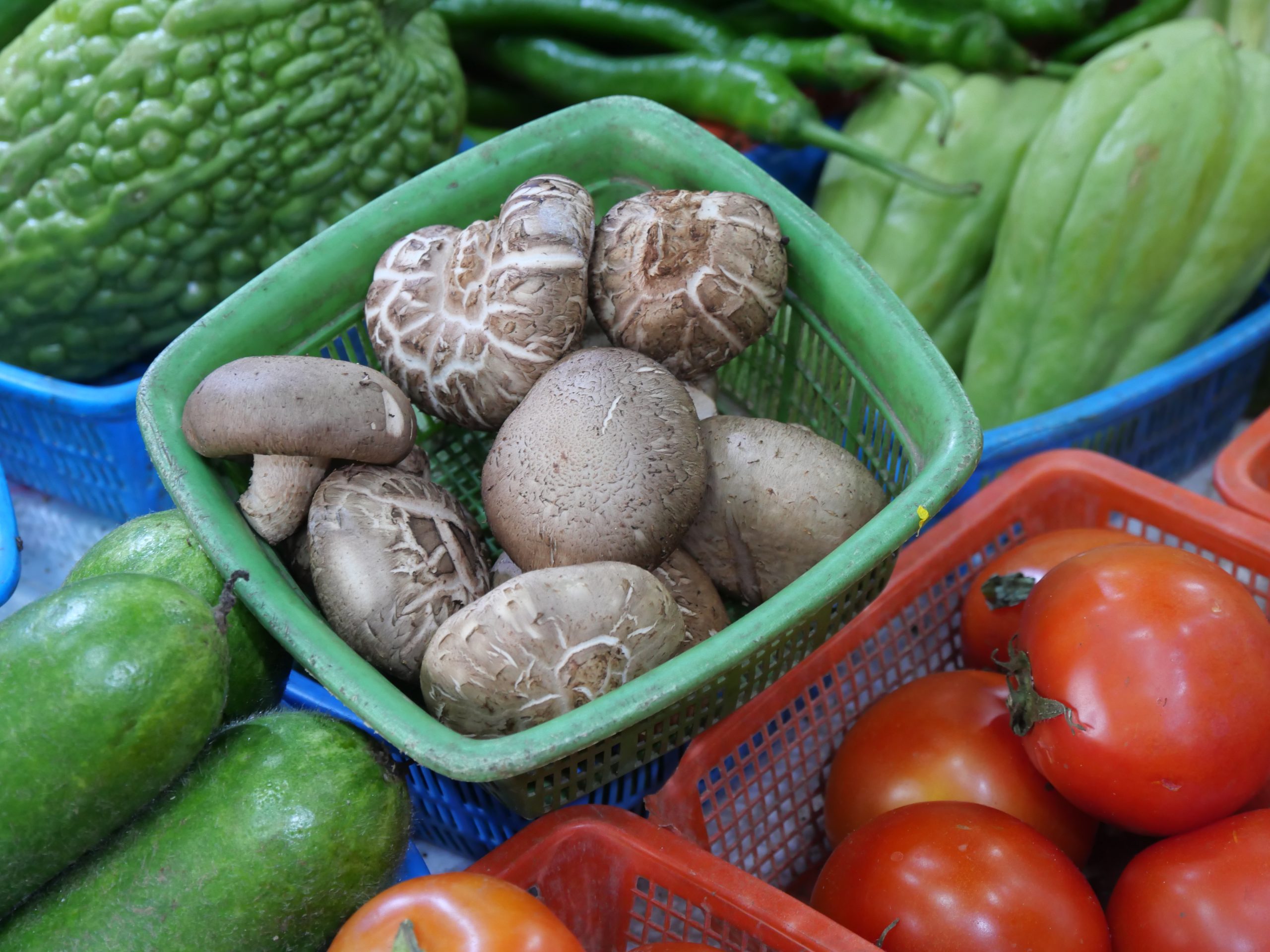 Fresh shiitake mushrooms collected in a green basket