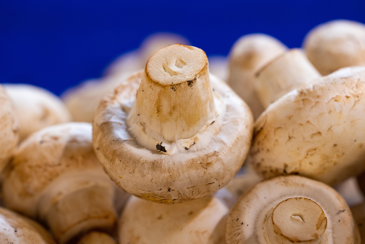 Fresh white button mushrooms